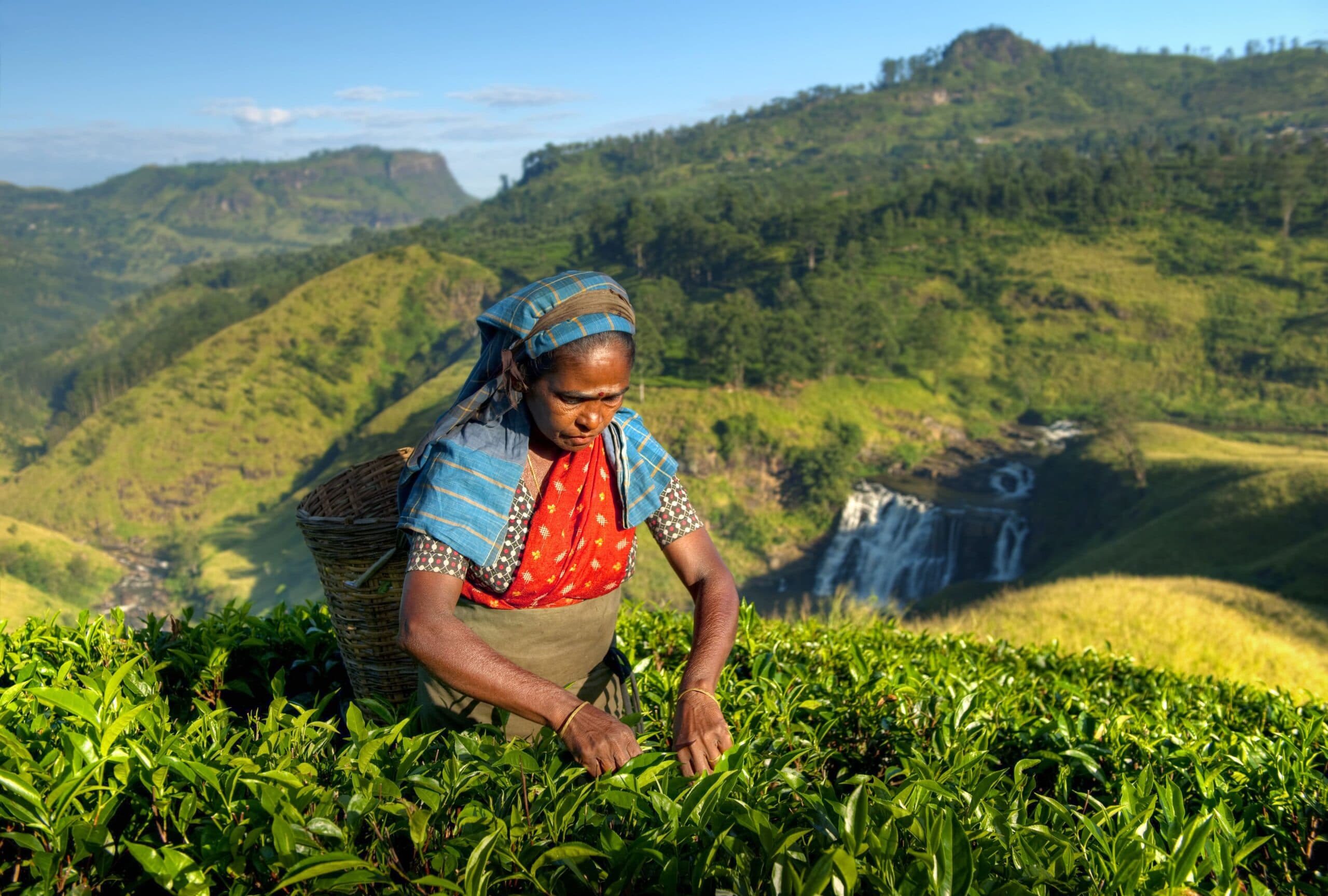 Ethical jewellery showcasing Sri Lankan craftsmanship and sustainability practices.